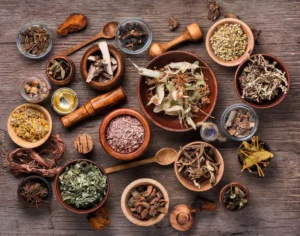 Assorted Dried Medical Herbs