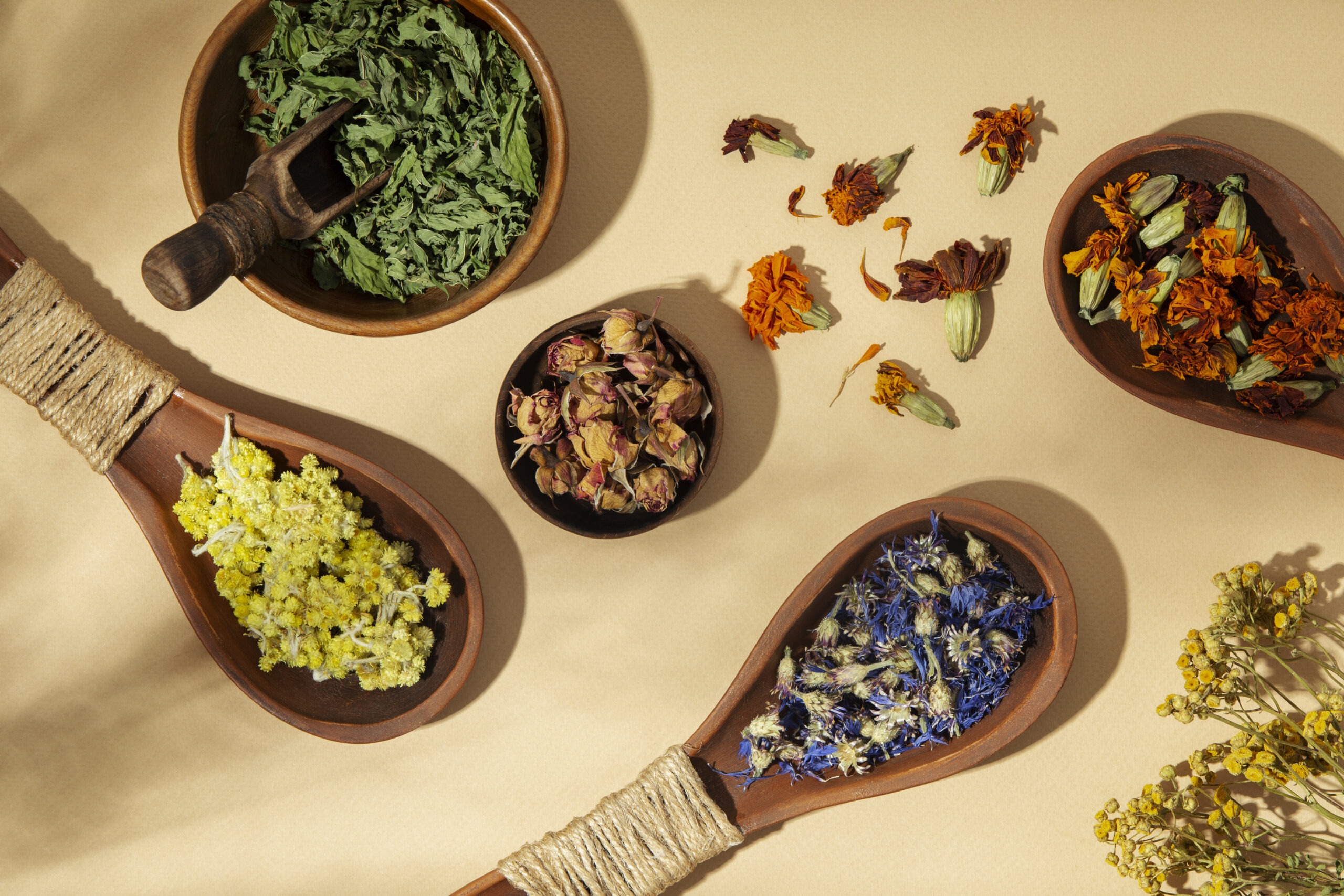 Wooden Spoons with Plants Flat Lay